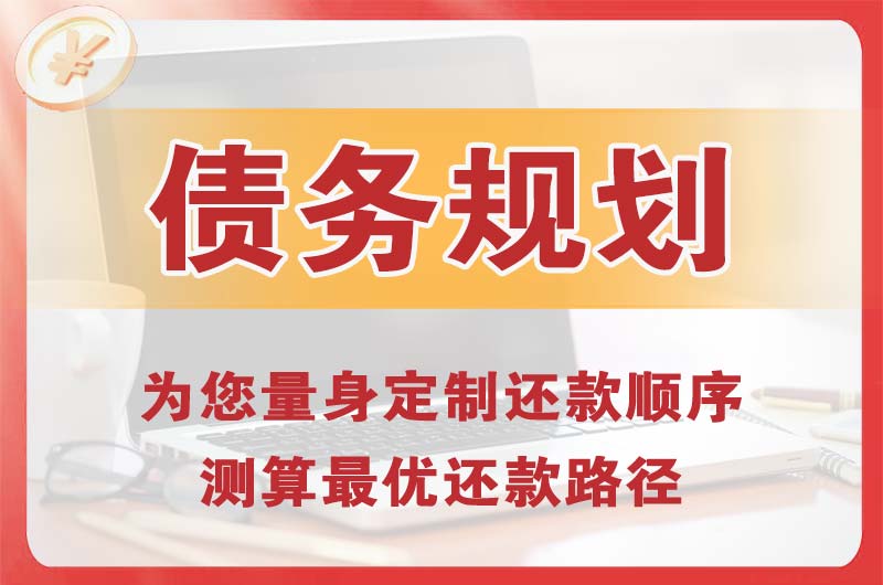 中卫债务规划